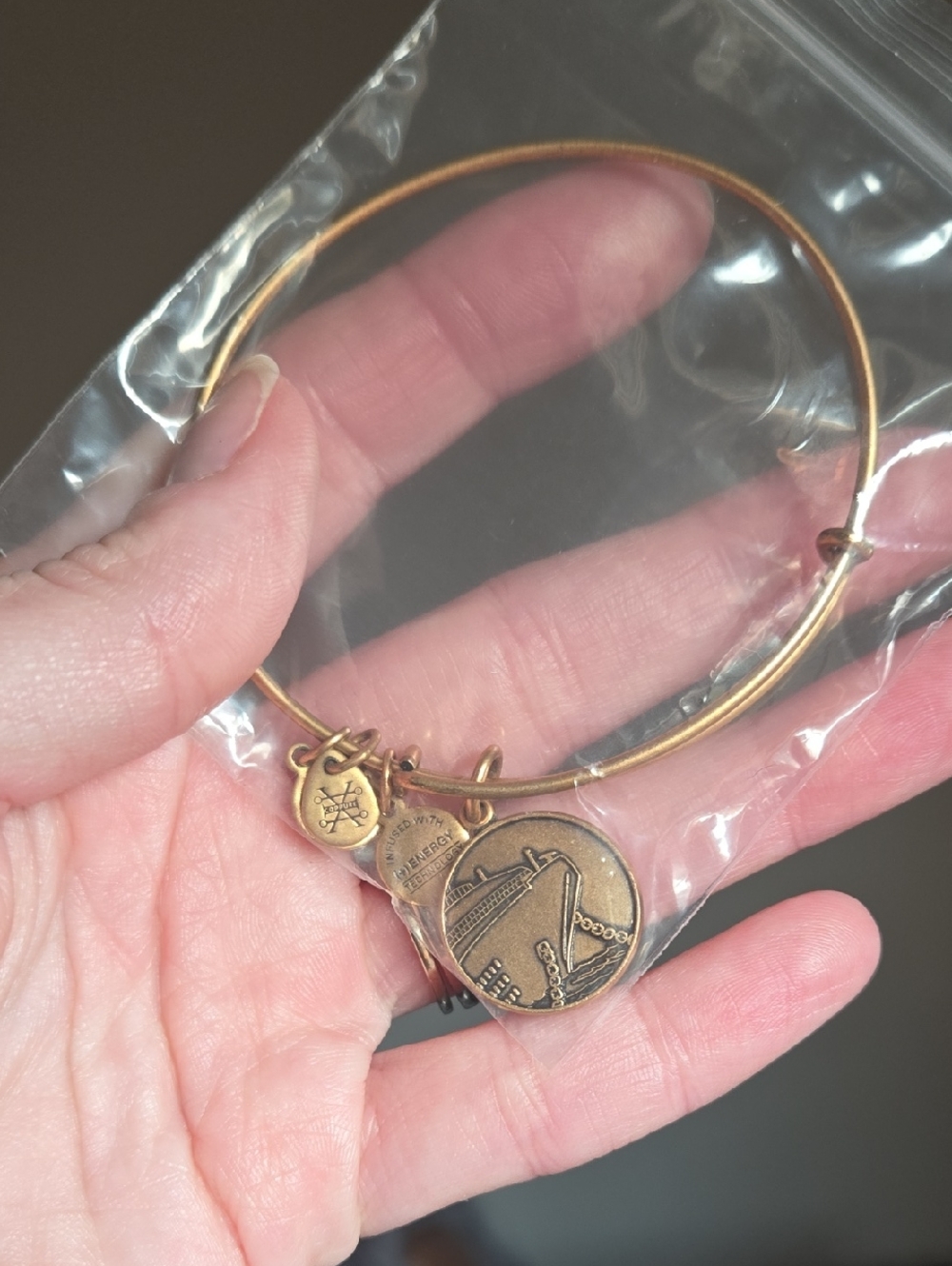 Alex & Ani Cruise Ship Gold-Tone Charm Bangle Bracelet